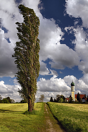 Immobilienpreise Schondorf Immobilienpreise Schondorf
